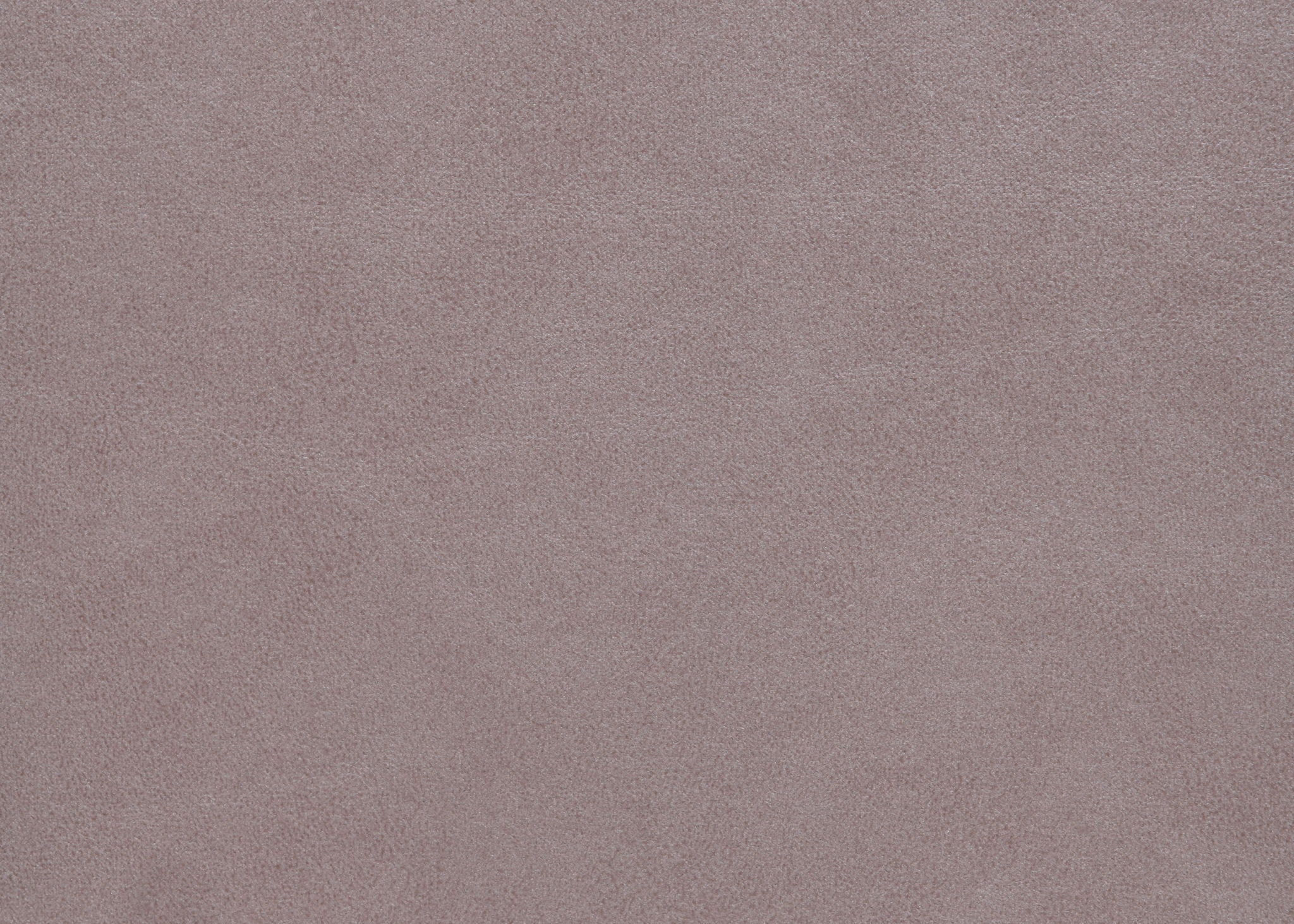 Trina - Upholstered Trundle Daybed