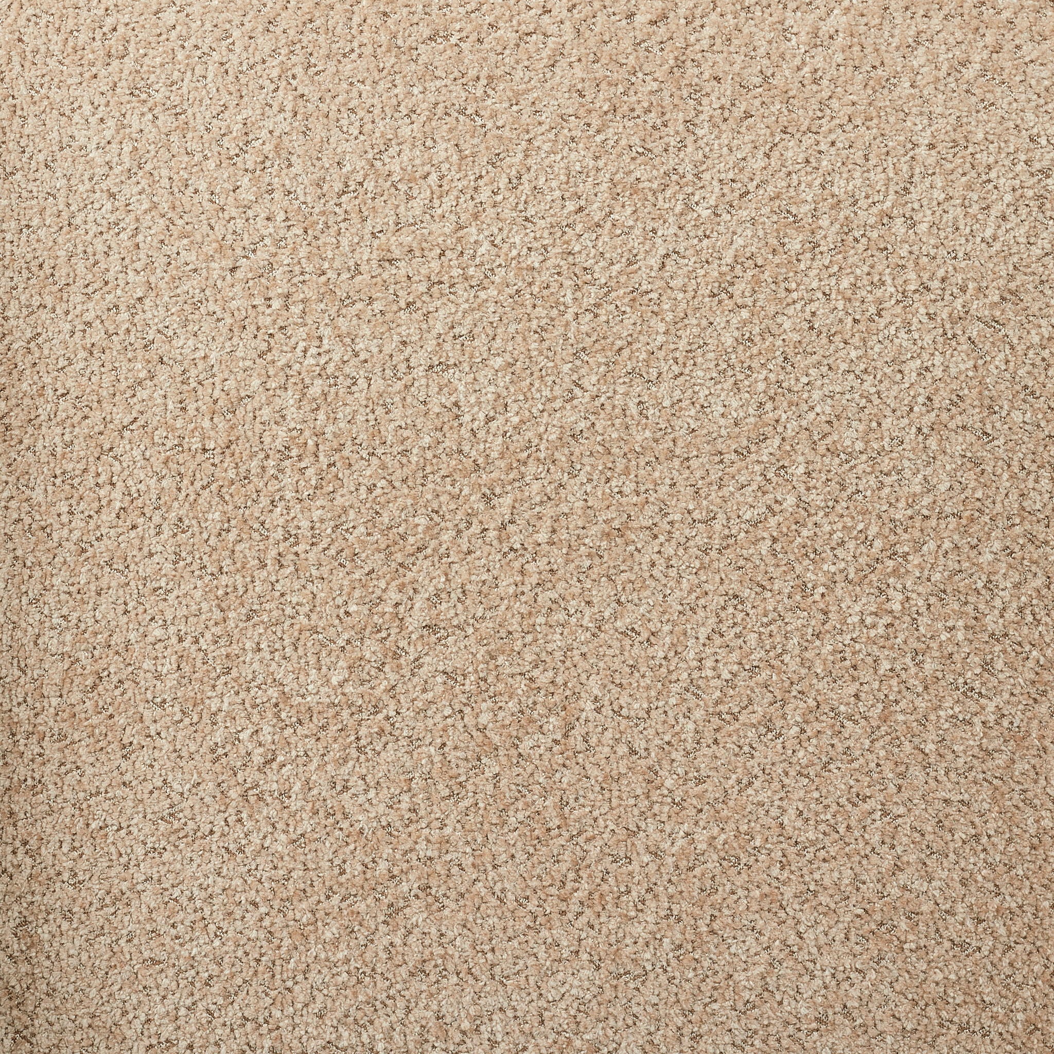 Elure - Hi-Back Accent Chair